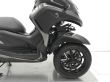 TRICITY 300