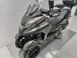 TRICITY 300