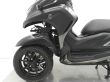 TRICITY 300
