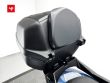 TRICITY 300