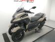 TRICITY 300