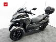 TRICITY 300