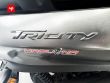 TRICITY 300
