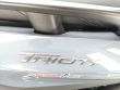 TRICITY 300