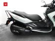 TRICITY 300