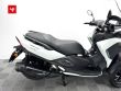 TRICITY 300