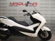 NSS 300 FORZA