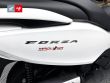 FORZA 300