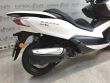 NSS 300 FORZA ABS