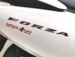 NSS 300 FORZA ABS