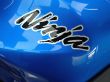 NINJA 650