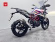 G 310 GS