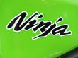 NINJA 300 ABS