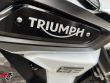 TIGER 1200 ALPINE EDITION