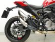 MONSTER 1000 IE