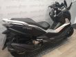 CRUISYM 300