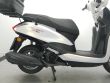 D'ELIGHT 125