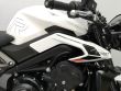 STREET TRIPLE 765 R