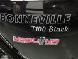 BONNEVILLE T100 BLACK