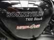 BONNEVILLE T100 BLACK