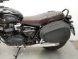STREET TWIN