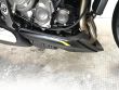 STREET TRIPLE RS