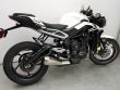 STREET TRIPLE 765 R