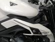 STREET TRIPLE 765 R