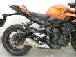 STREET TRIPLE 765 R