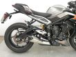 STREET TRIPLE 765 RS