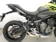 TIGER SPORT 660