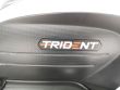 TRIDENT 660