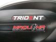 TRIDENT 660