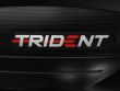 TRIDENT 660