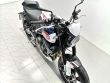 TRIDENT 660 TRIPLE TRIBUTE EDITION