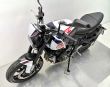TRIDENT 660 TRIPLE TRIBUTE EDITION