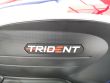 TRIDENT 660 TRIPLE TRIBUTE EDITION