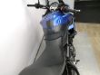 TIGER SPORT 660
