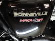 BONNEVILLE 900