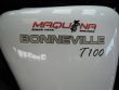 BONNEVILLE T-100