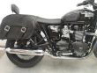 BONNEVILLE T100