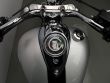 THUNDERBIRD 1600 2-TONE