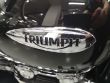 THUNDERBIRD 1600