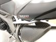 SPEED TRIPLE RS