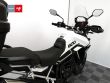 TIGER 900 GT PRO