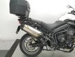 TIGER 800