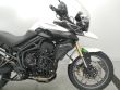 TIGER 800