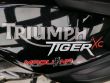 TIGER 800 XC ABS