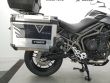 TIGER 800 XR X