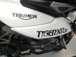 TIGER 800 XR X